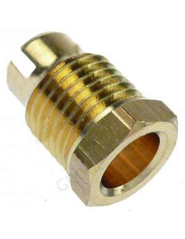 Screw connection for thermocouple type SEF 1